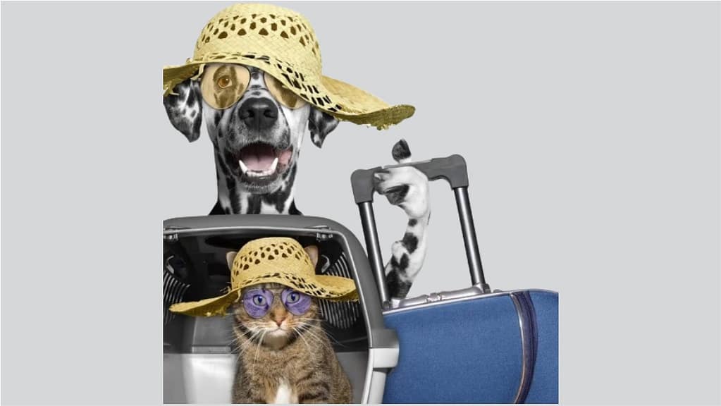 Certificados de viaje y trámites sanitarios viaje